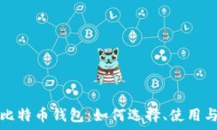   全面解析比特币钱包：如何选择、使用与安全防